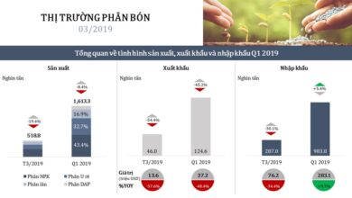 NGÀNH PHÂN BÓN: THÔNG TIN QUÝ I 2019