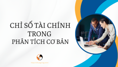 CÁC CHỈ SỐ TÀI CHÍNH KHÔNG THỂ THIẾU TRONG PHÂN TÍCH CƠ BẢN