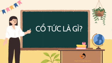 Cổ tức là gì? Cách tính các tỷ lệ cổ tức