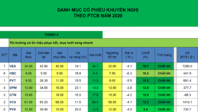 Tổng hợp danh mục đầu tư 6 tháng đầu năm 2020