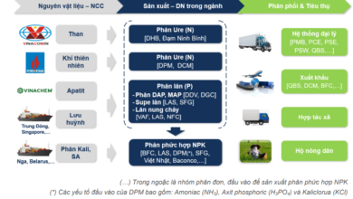 phan bon 3