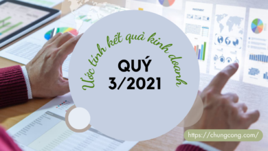 Ước tính kết quả kinh doanh Quý 3/2021