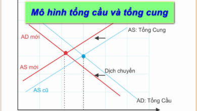 Mo hinh tong cung cau