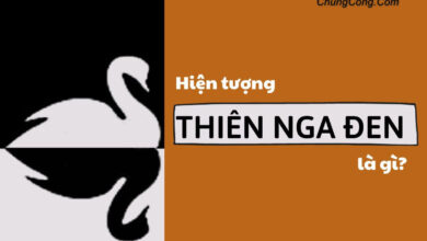 Thien nga den