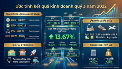 Ước tính Kết quả Kinh doanh Quý 3 năm 2022