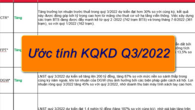 Uoc tinh KQKD quy 3.2022