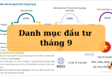 Danh mục đầu tư tháng 9 năm 2024