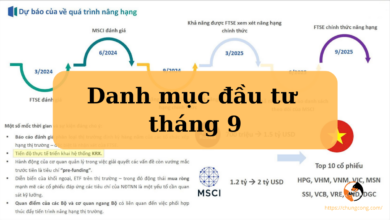 Danh mục đầu tư tháng 9 năm 2024