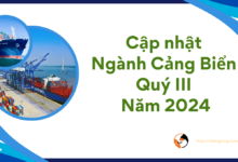 Cập nhật Ngành Cảng Biển quý III năm 2024