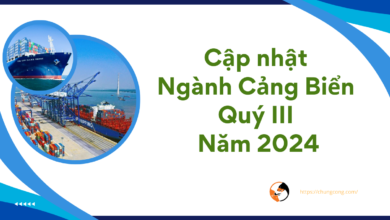 Cập nhật Ngành Cảng Biển quý III năm 2024