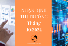 Nhận định thị trường tháng 10 năm 2024 – Đón đầu Dòng chảy