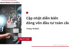 Diễn biến dòng vốn đầu tư toàn cầu Tháng 10 năm 2024