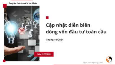 Diễn biến dòng vốn đầu tư toàn cầu Tháng 10 năm 2024