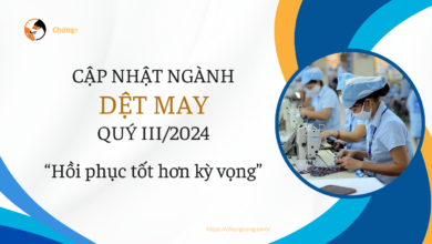 Cập nhật ngành Dệt may Q3/2024: Hồi phục tốt hơn kỳ vọng