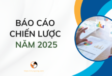 Tải báo cáo chiến lược năm 2025