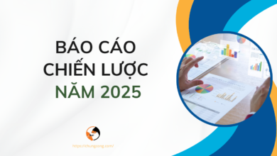 Tải báo cáo chiến lược năm 2025