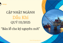 NGÀNH DẦU KHÍ: BẢN LỀ CHO THỜI KỲ MỚI 11 NGÀNH DẦU KHÍ: BẢN LỀ CHO THỜI KỲ MỚI