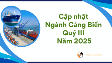 Cập nhật Ngành CẢNG BIỂN - Thích nghi với thế giới thay đổi 6 Cập nhật Ngành CẢNG BIỂN – Thích nghi với thế giới thay đổi