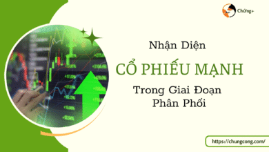 Nhận Diện Cổ Phiếu Mạnh Trong Giai Đoạn Phân Phối 1 Nhận Diện Cổ Phiếu Mạnh Trong Giai Đoạn Phân Phối