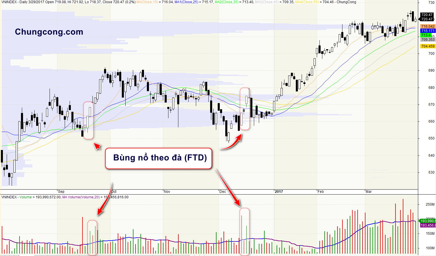 Cách áp dụng Ngày Bùng Nổ Theo Đà (FTD) trong đầu tư chứng khoán