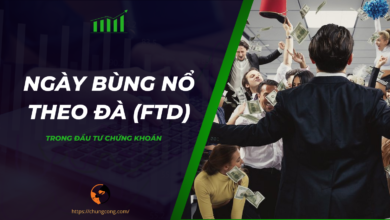 Cách áp dụng Ngày Bùng Nổ Theo Đà (FTD) trong đầu tư chứng khoán 2 Cách áp dụng Ngày Bùng Nổ Theo Đà (FTD) trong đầu tư chứng khoán