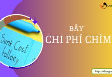 Bẫy Chi Phí Chìm (Sunk Cost Fallacy): Tại sao càng gồng lỗ càng thua nặng?